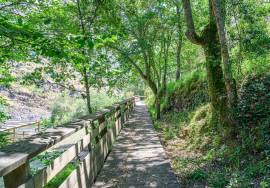 Land Arouca