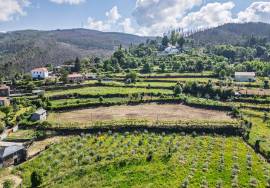 Land Arouca