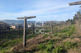 Rustic land with 8,000m2 in Lemenhe