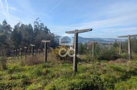 Rustic land with 8,000m2 in Lemenhe