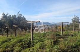 Rustic land with 8,000m2 in Lemenhe