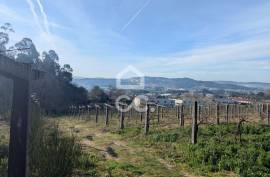 Rustic land with 8,000m2 in Lemenhe