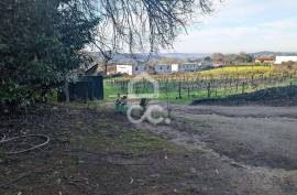 Rustic land with 8,000m2 in Lemenhe