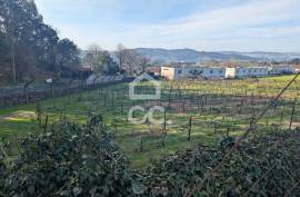 Rustic land with 8,000m2 in Lemenhe