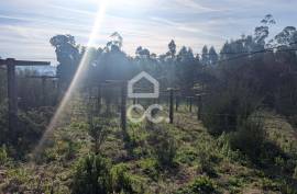 Rustic land with 8,000m2 in Lemenhe