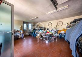 Single storey house T4 in Palmeira, Santo Tirso