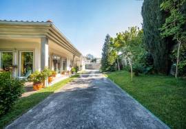 Single storey house T4 in Palmeira, Santo Tirso