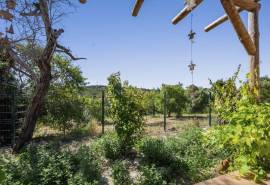 Silves – 3-bedroom single-storey Algarvian cottage with countryside views and development potential Silves – 3-bedroom single-storey Algarvian cottage with countryside views and development potential
