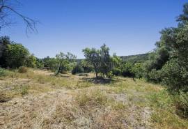 Silves – 3-bedroom single-storey Algarvian cottage with countryside views and development potential Silves – 3-bedroom single-storey Algarvian cottage with countryside views and development potential