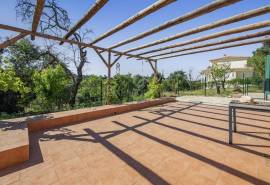 Silves – 3-bedroom single-storey Algarvian cottage with countryside views and development potential Silves – 3-bedroom single-storey Algarvian cottage with countryside views and development potential