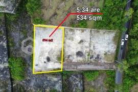 Stunning Freehold Investment 534 sqm Land in Bukit Ungasan with 5 Meter Road Access and High Demand Ocean View Potential