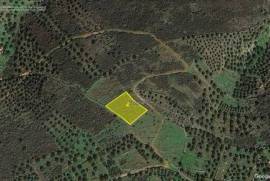 Rural seaview building plot, build 1200 m2