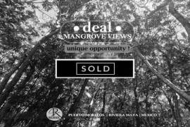 Opportunity Lot