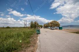Agricultural 4032 sq.m for sale Agricultural 4032 sq.m for sale