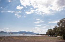 Agricultural 4032 sq.m for sale Agricultural 4032 sq.m for sale