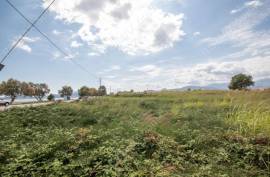 Agricultural 4032 sq.m for sale Agricultural 4032 sq.m for sale