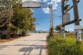 Agricultural 4032 sq.m for sale Agricultural 4032 sq.m for sale