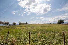 Agricultural 4032 sq.m for sale Agricultural 4032 sq.m for sale