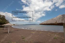 Agricultural 4032 sq.m for sale Agricultural 4032 sq.m for sale