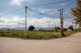 Agricultural 4032 sq.m for sale Agricultural 4032 sq.m for sale