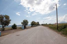 Agricultural 4032 sq.m for sale Agricultural 4032 sq.m for sale