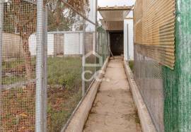 Renovated villa in Soure