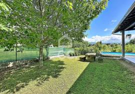 A Dream House with Large Environments and Excellent Exteriors A Dream House with Large Environments and Excellent Exteriors