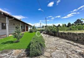 A Dream House with Large Environments and Excellent Exteriors A Dream House with Large Environments and Excellent Exteriors