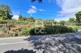 Building Land, Silvares, Pias, Nogueira e Alvarenga, Lousada