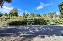 Building Land, Silvares, Pias, Nogueira e Alvarenga, Lousada