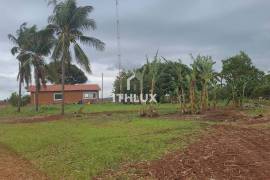 Elite Agricultural Estate with 1,171 Hectares and High Productivity | Botucatu Region