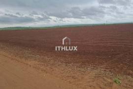 Elite Agricultural Estate with 1,171 Hectares and High Productivity | Botucatu Region Elite Agricultural Estate with 1,171 Hectares and High Productivity | Botucatu Region