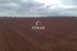 Elite Agricultural Estate with 1,171 Hectares and High Productivity | Botucatu Region Elite Agricultural Estate with 1,171 Hectares and High Productivity | Botucatu Region