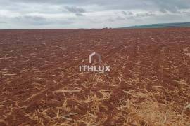 Elite Agricultural Estate with 1,171 Hectares and High Productivity | Botucatu Region Elite Agricultural Estate with 1,171 Hectares and High Productivity | Botucatu Region