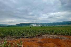 Sugarcane Farm with 1.3 Million m² and High Profitability | Brotas, SP Sugarcane Farm with 1.3 Million m² and High Profitability | Brotas, SP
