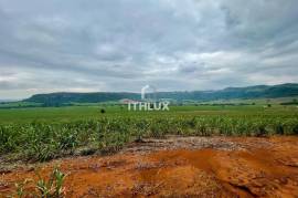 Sugarcane Farm with 1.3 Million m² and High Profitability | Brotas, SP Sugarcane Farm with 1.3 Million m² and High Profitability | Brotas, SP