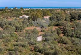 Detached farmhouse for renovation in East Algarve – Countryside Living Near Olhão and Fuseta