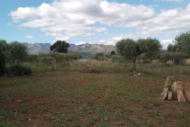 Excellent 2 Bed Country Home Sale in Ginestar Tarragona Catalonia Spain Excellent 2 Bed Country Home Sale in Ginestar Tarragona Catalonia Spain