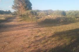 Excellent 2 Bed Country Home Sale in Ginestar Tarragona Catalonia Spain Excellent 2 Bed Country Home Sale in Ginestar Tarragona Catalonia Spain
