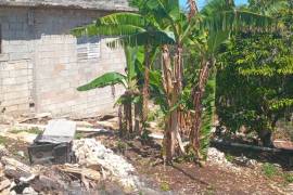Premier 2-Acre Development Plot Rose Hall Estate Montego Bay Premier 2-Acre Development Plot Rose Hall Estate Montego Bay