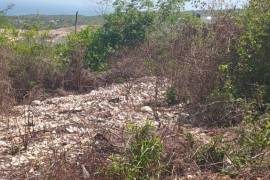 Premier 2-Acre Development Plot Rose Hall Estate Montego Bay Premier 2-Acre Development Plot Rose Hall Estate Montego Bay