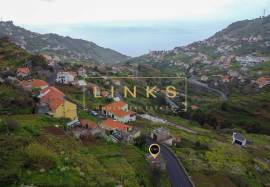 Traditional House and Plots - Campana