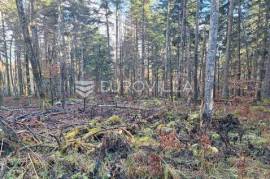 Bosiljevo, agricultural land 12800 m² next to the highway
