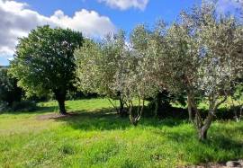Unique Magnificent Stone Farmhouse With 300 M2 Of Living Space, 5 Bedrooms And Outbuilding On 1.5 Hectares Of Land In The Heart Of The Garrigue With Panoramic Views. Unique Magnificent Stone Farmhouse With 300 M2 Of Living Space, 5 Bedrooms And Outbuilding On 1.5 Hectares Of Land In The Heart Of The Garrigue With Panoramic Views.