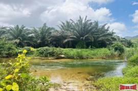 A large plot of 101 rai with clear water stream and mountain view for sale in Khuekkhak, Phangnga A large plot of 101 rai with clear water stream and mountain view for sale in Khuekkhak, Phangnga