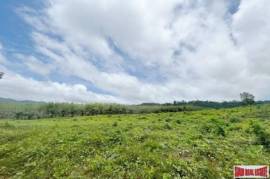 A large plot of 101 rai with clear water stream and mountain view for sale in Khuekkhak, Phangnga A large plot of 101 rai with clear water stream and mountain view for sale in Khuekkhak, Phangnga