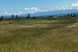 Land-Plot for sale in Katundi-I-Ri Albania