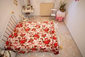 House 243 sq.m for sale