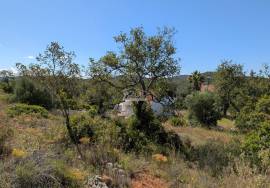 Charming Country Villa with Annex & Large Plot for Sale in Paderne, Algarve