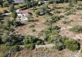 Charming Country Villa with Annex & Large Plot for Sale in Paderne, Algarve